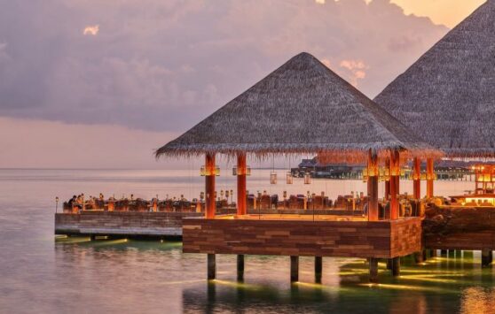 7 Incredible Culinary Experiences that Await You at JOALI Maldives ...