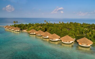 Photo - 2025-11-26T155357.182 Photo - 2025-11-26T155357.182